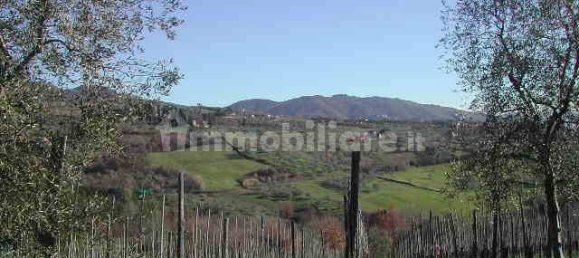 Вилла с 5 спальнями в Капаннори, Италия № 85807 4