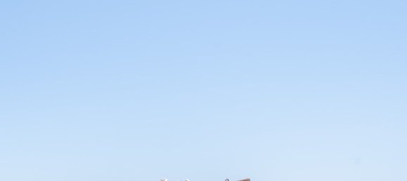 1 chambre Appartement à Estepona, Spain No. 154528 19