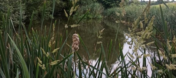  Land in Bayreuth, Germany No. 348809 8