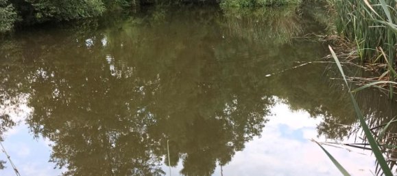  Land in Bayreuth, Germany No. 348809 6