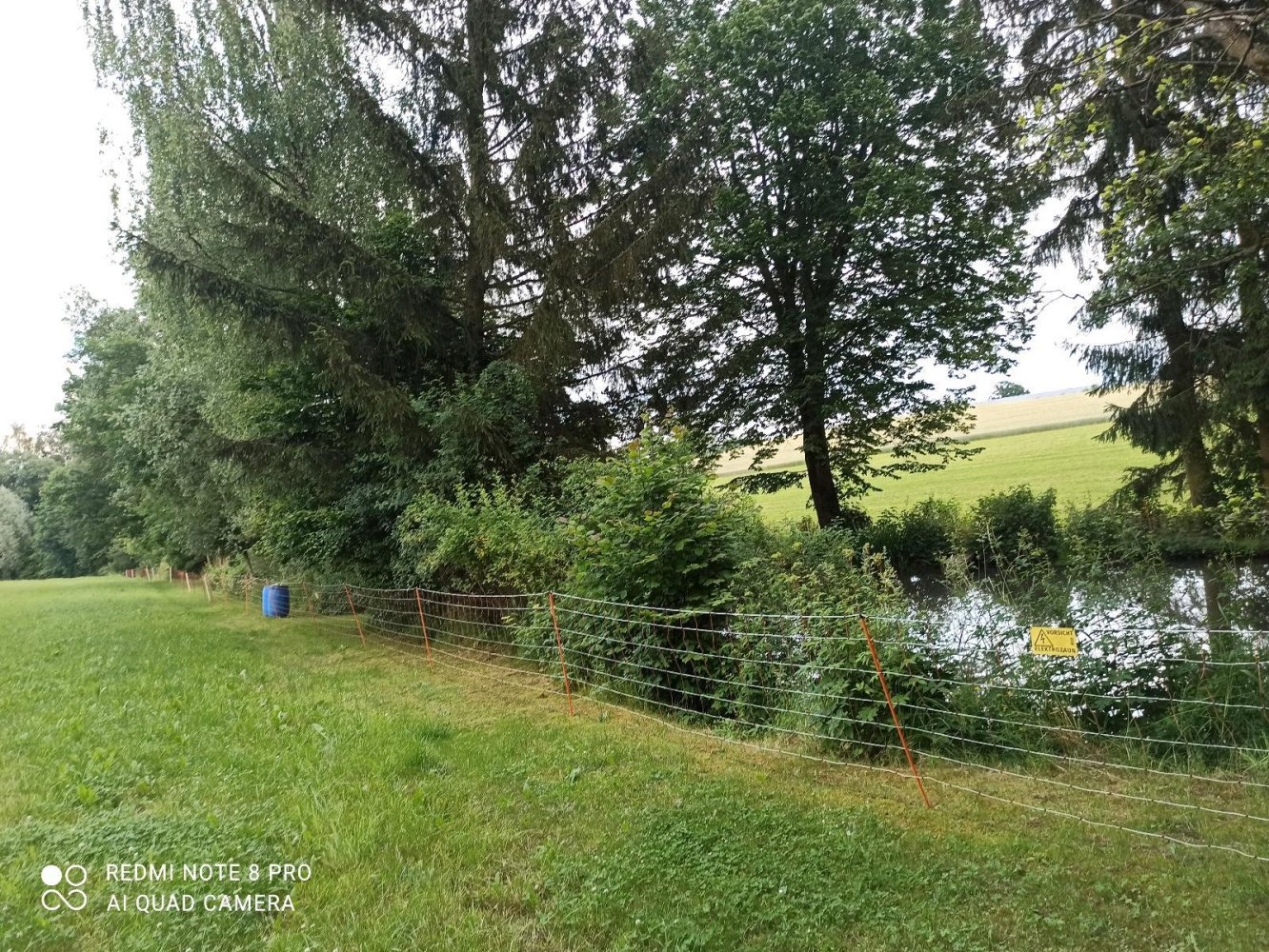  Land in Bayreuth, Germany No. 348809