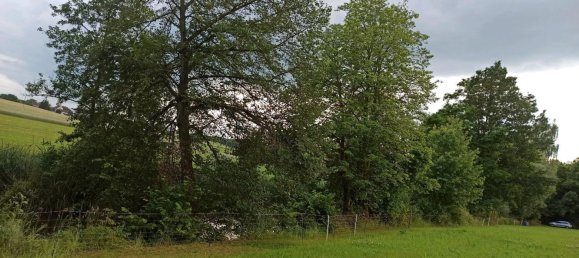  Land in Bayreuth, Germany No. 348809 4