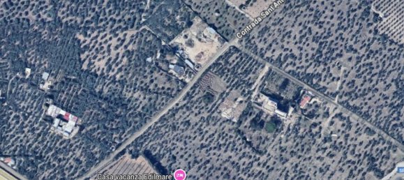 5غرفة شقة في Giovinazzo, Italy رقم 41146 3