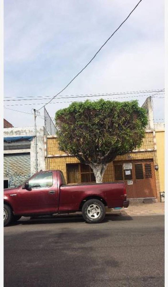 5 chambres Maison à Jalisco, Mexico No. 176272