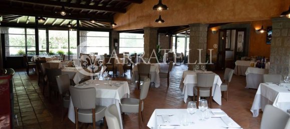 18 bedrooms Villa in Viterbo, Italy No. 115045 109