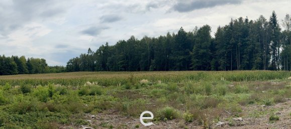  Land in Sattledt, Austria No. 254581 8