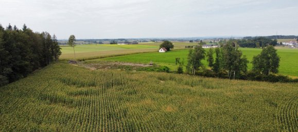  Land in Sattledt, Austria No. 254581 7