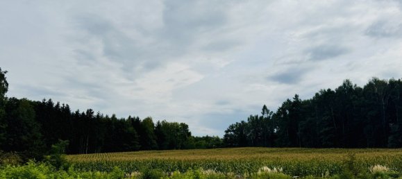  Land in Sattledt, Austria No. 254581 3