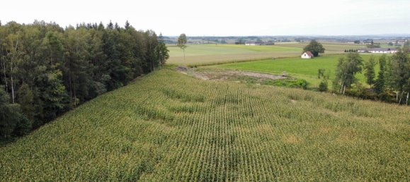  Land in Sattledt, Austria No. 254581 2