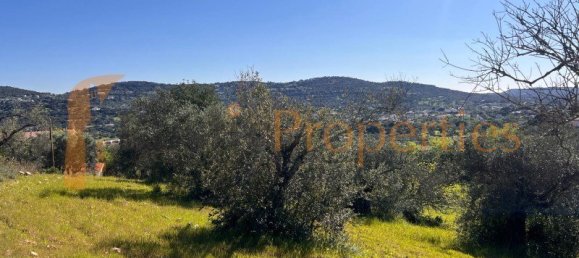 Земельный участок 840м² в Сан Браш ди Алпортел, Португалия № 96551 12