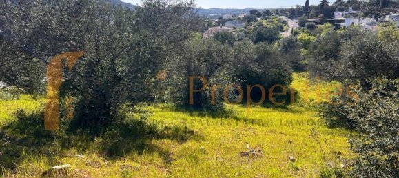 Земельный участок 840м² в Сан Браш ди Алпортел, Португалия № 96551 10