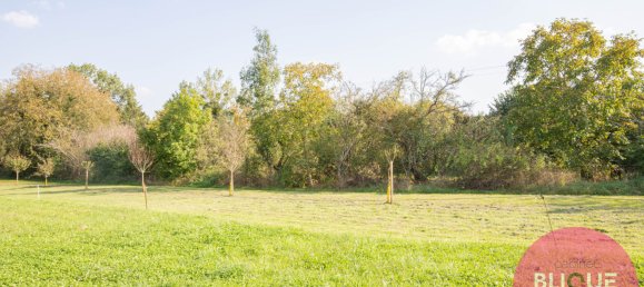  Land in Jeandelaincourt, France No. 236707 12