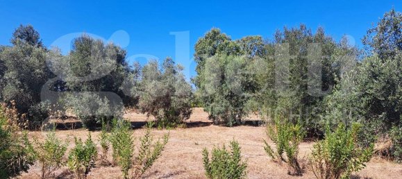 3 bedrooms Villa in Oristano, Italy No. 143493 16