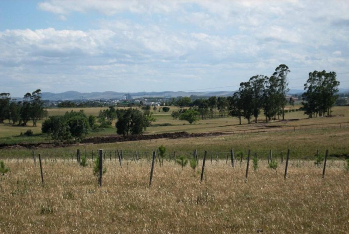 Ферма в Мальдонадо, Уругвай № 14887