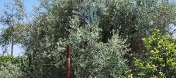 Дом с 5 комнатами в Ното, Италия № 310499 5