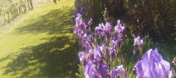 3 bedrooms House in Santo Stefano Belbo, Italy No. 279728 9