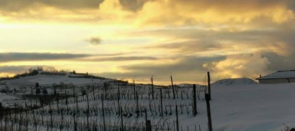 3 bedrooms House in Santo Stefano Belbo, Italy No. 279728 12