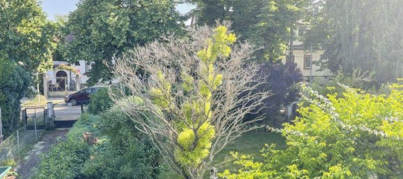 1 غرف نوم منزل في Baden, Austria رقم 133779 18