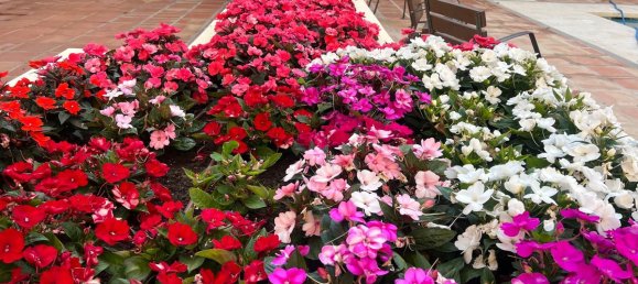 3 bedrooms Apartment in Marbella, Spain No. 261154 36