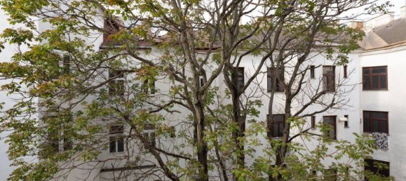 2 rooms Apartment in Brigittenau, Austria No. 42954 8