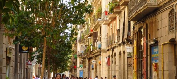 Gewerbliche Immobilie in Ciutat Vella, Spain 160m², Nr. 130405 6