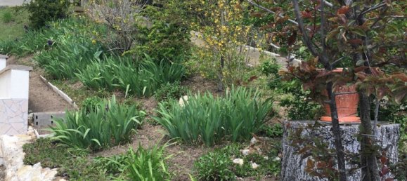 2 bedrooms House in Loir-et-Cher, France No. 93069 4