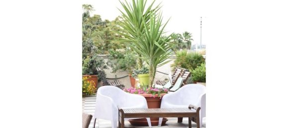 4غرفة شقة في Bari, Italy رقم 252454 2