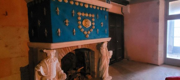 26 غرف نوم قلاع في Grossouvre, France رقم 66917 4