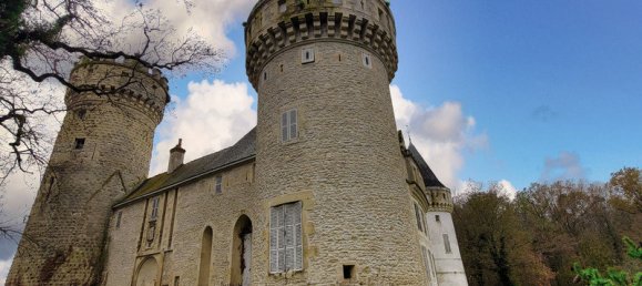 26 غرف نوم قلاع في Grossouvre, France رقم 66917 2