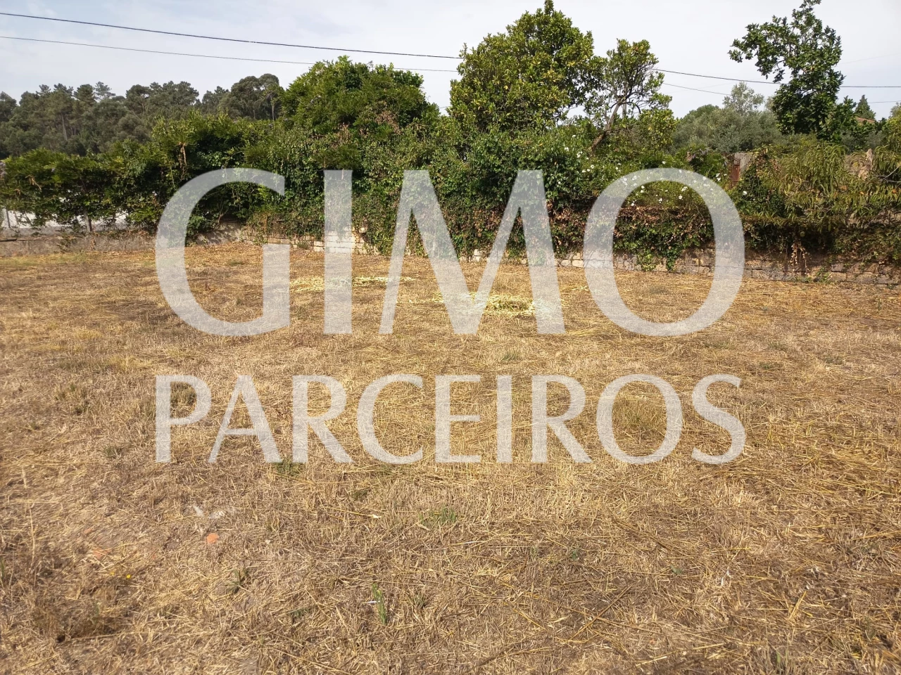 Terreno en Oia, Portugal No. 247632