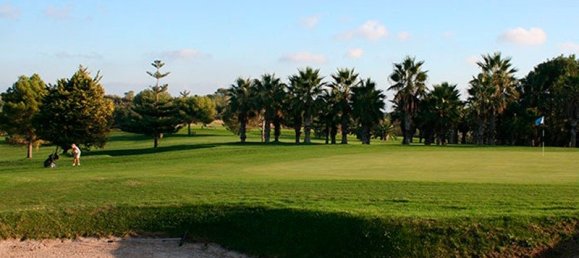 1 bedroom Penthouse in Mil Palmeras, Spain No. 10773 21