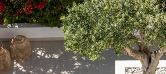 Adosado de 4 dormitorios en Marbella, Spain No. 100548 21