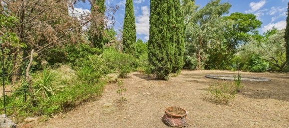 3 bedrooms House in Occitanie, France No. 290817 10