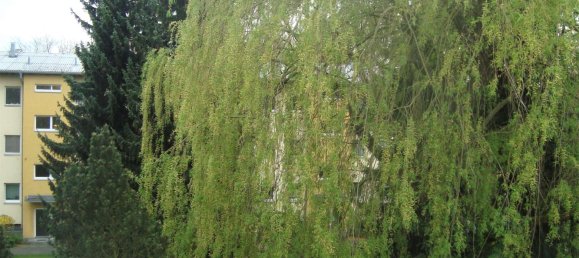 Estúdio em Lichtenrade, Germany N.º 88196 7