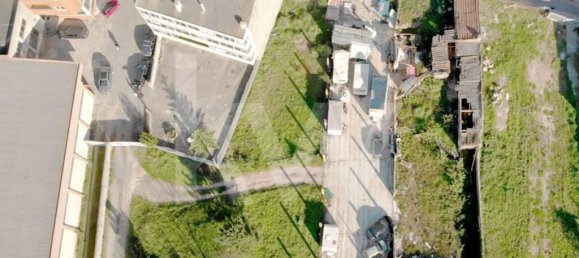  Land in Madalena, Portugal No. 33602 13