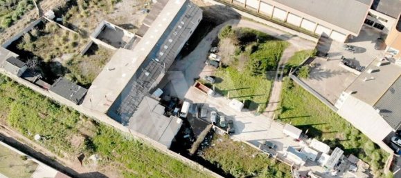  Land in Madalena, Portugal No. 33602 14