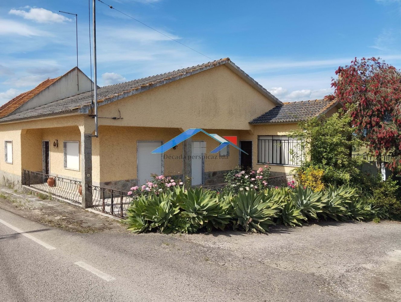 8 bedrooms House in Santarem, Portugal No. 333579