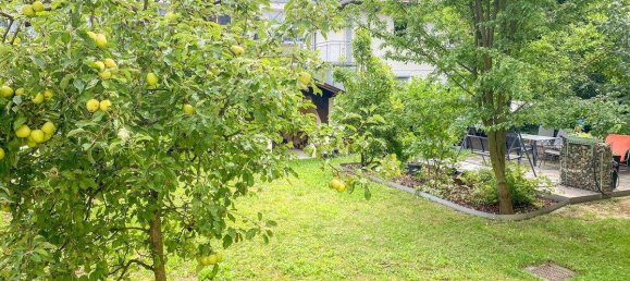 5 rooms Apartment in Stockerau, Austria No. 158171 2