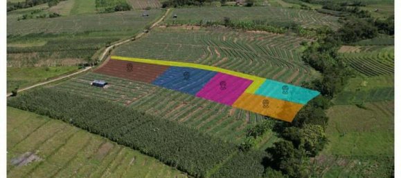 Terrain à Tabanan, Indonesia 3448m² No. 4302 3