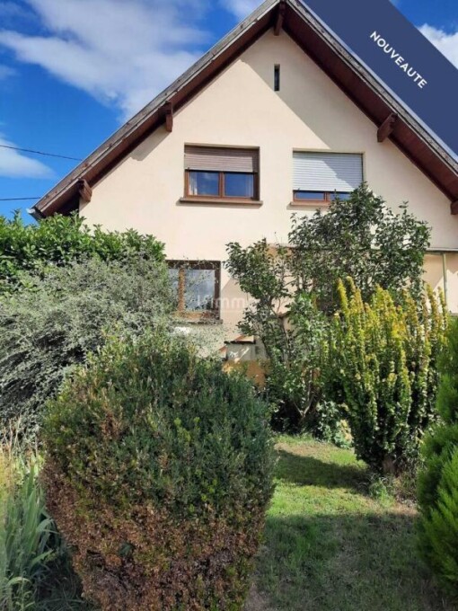 4 غرف نوم منزل في Bas-Rhin, France رقم 317264