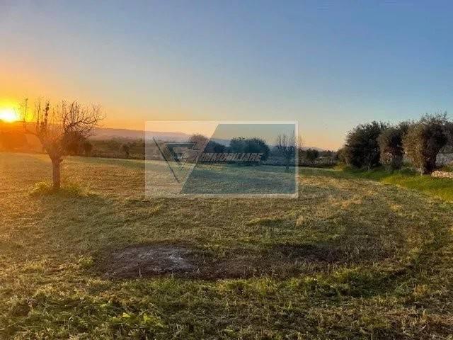 13000m² Land in Syracuse, Italy No. 245639