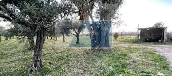 13000m² Land in Syracuse, Italy No. 245639 12