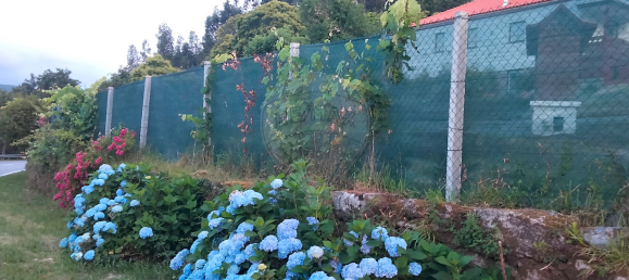 3 Schlafzimmer Haus in Paredes de Coura, Portugal, Nr. 28630 15