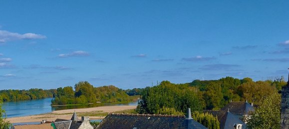 2 Schlafzimmer Haus in Candes-Saint-Martin, France, Nr. 215320 2