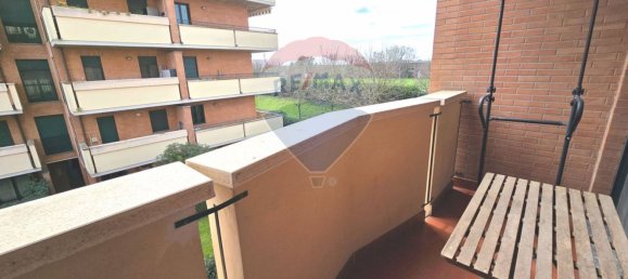 3 rooms Apartment in Pioltello, Italy No. 218840 12