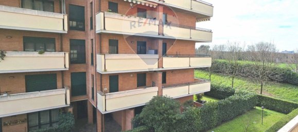 3 rooms Apartment in Pioltello, Italy No. 218840 20