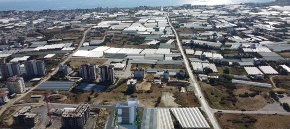 Apartment 1+1 in Konakli, Turkey No. 31386 9