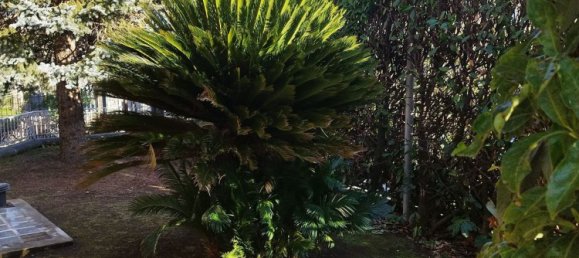 11 rooms Villa in Avellino, Italy No. 152594 4