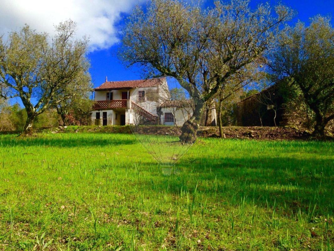 4 chambres Maison à Ansiao, Portugal No. 162316