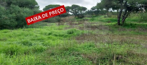 Grundstück in Almancil, Portugal 9670m², Nr. 125414 2